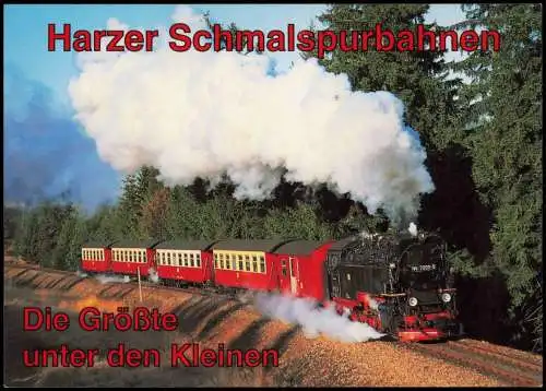 Harzquerbahn / Harzbahn zwischen Benneckenstein und Tiefenbachmühle 2003