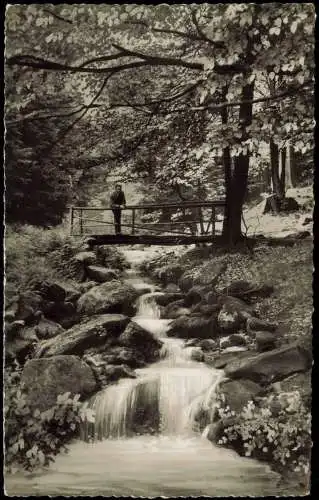 .Nordrhein-Westfalen Hotel-Waldgasthof Silbermühle Teutoburger Wald Leopoldstal Wasserfall 1956