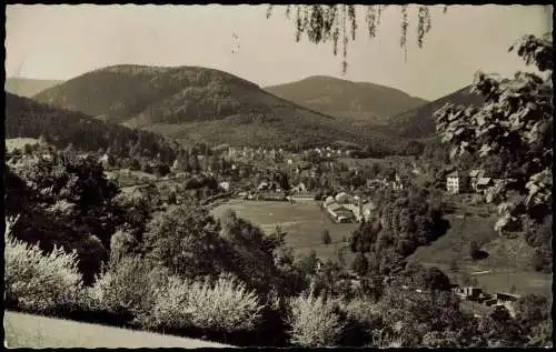 Ansichtskarte Bad Herrenalb Panorama-Ansicht, Schwarzwald 1962