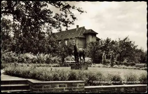 Ansichtskarte Fürstenberg (Weser) Partie an der Pferdestatue 1964/1963