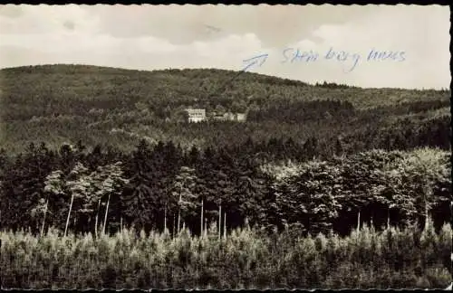 Hann. Münden Panorama-Ansicht Blick zum Naturfreundehaus am Steinberg 1969