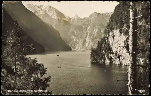 Ansichtskarte Schönau am Königssee Der Königssee vom Malerwinkl 1955