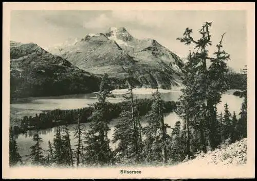 Ansichtskarte Stampa Silsersee Lago di Sils 1928  Helvetia Schweiz