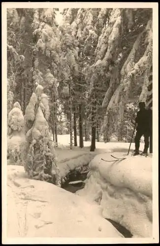 Foto  Wintersport: Skifahrer im Wald 1940 Privatfoto