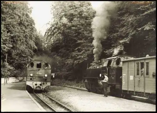 Bäderbahn Bad Doberan - Dampflokomotive Typ: 99 322  im Bf. Heiligendamm 1982