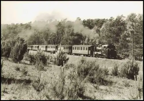 Schmalspurbahn Putbus-Göhren, Personenzug zw. Garstitz und Sellin 1985