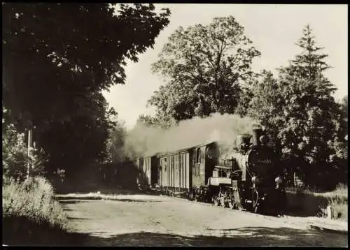 Schmalspurbahn Insel Rügen, Frühzug von Göhren  Einfahrt in Philippshagen 1977