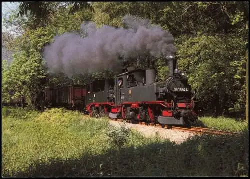 Schmalspur-Dampflokomotive 99 1584-4 der Deutschen Reichsbahn 1990