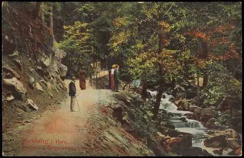 Ansichtskarte Ilsenburg (Harz) Umland-Ansicht, Harz Bremerweg 1910