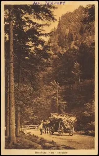 Ilsenburg (Harz) Holz-Transport mit Pferde Fuhrwerk am Ilsestein 1932