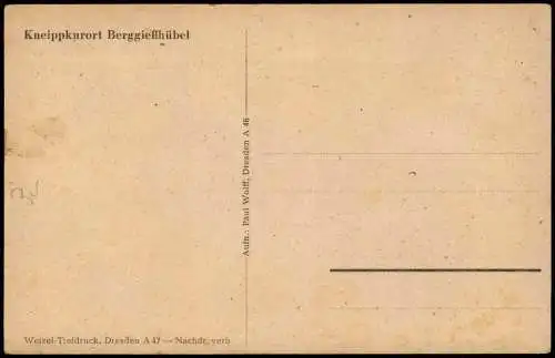 Ansichtskarte Berggießhübel-Bad Gottleuba-Berggießhübel Ortsansicht 1920