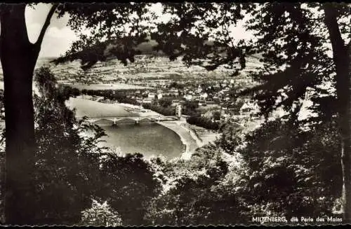Ansichtskarte Miltenberg (Main) Panorama-Ansicht der Perle des Mains 1958