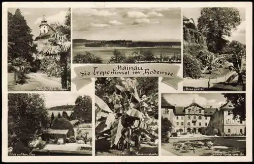 Insel Mainau-Konstanz Mehrbildkarte der Tropeninsel im Bodensee 1953