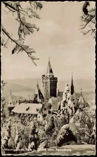 Wernigerode Schloss Feudalmuseum vom Agnesberg aus zur DDR-Zeit 1957