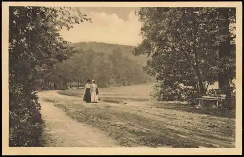 Ansichtskarte Bad Suderode Harz Partie An der Kaltetalwiese 1910
