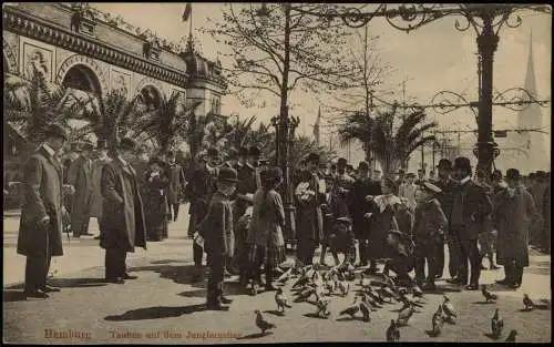 Hamburg Tauben auf dem Jungfernstieg Männer in feiner Kleidung 1912