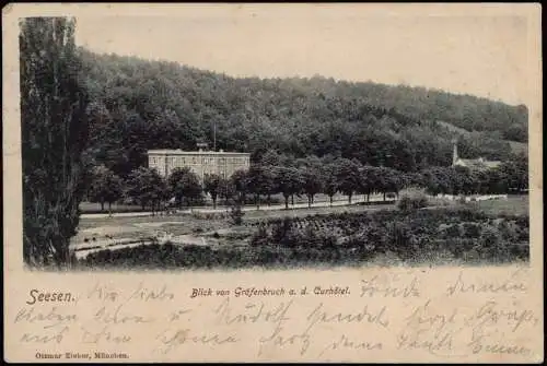 Ansichtskarte Seesen Blick Gräfenbruch a.d. Kurhotel 1905 gel. Bahnpoststempel