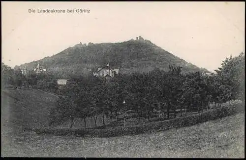 Ansichtskarte Görlitz Zgorzelec Die Landeskrone Villen am Wäldchen 1912