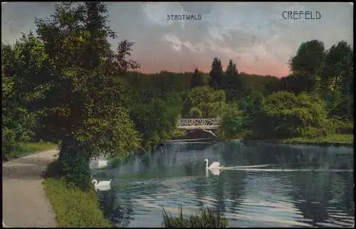 Ansichtskarte Krefeld Crefeld Stadtwald Brücke Schwan colorierte AK 1912