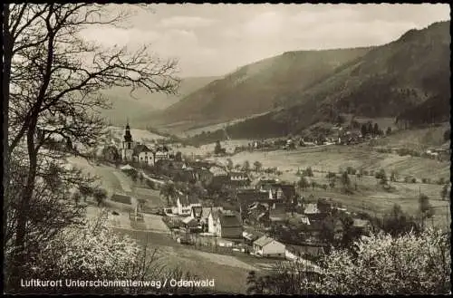 Unter-Schönmattenwag-Wald-Michelbach Panorama Odenwald Unter-Schönmattenwag 1960