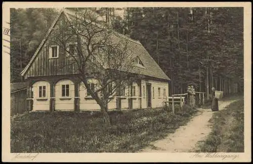 Ansichtskarte Jonsdorf Umland-Ansicht Haus Am Waldeingang 1917