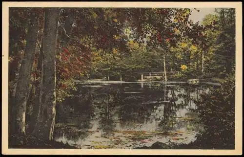 Ansichtskarte Gernrode-Quedlinburg Am Hagental Teich 1911