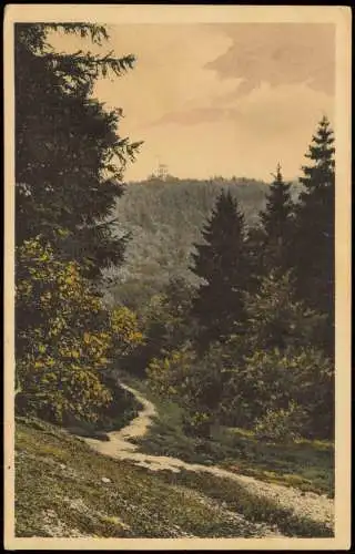 Ansichtskarte Bad Suderode Harz. Der Preussenturm 1911