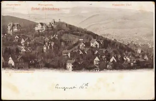 Ansichtskarte Wernigerode Hasseröder Thal. Hotel Lindenberg. 1906