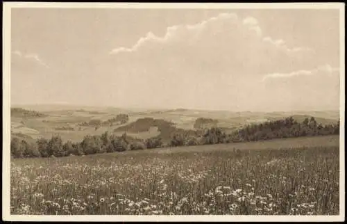 Ansichtskarte Geising-Altenberg (Erzgebirge) Geisingwiesen 1928