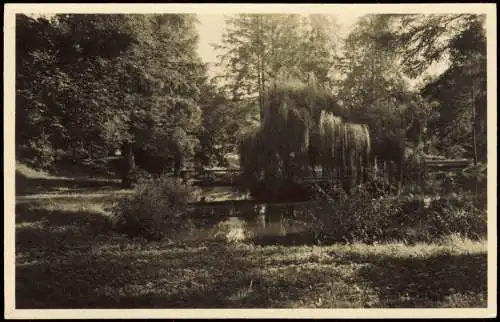 Ansichtskarte Bad Gottleuba-Berggießhübel Park und Brücke - Fotokarte 1952