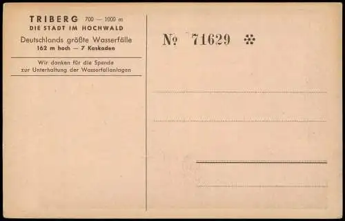 Triberg im Schwarzwald TRIBERGER WASSERFÄLLE (Künstlerkarte) 1930