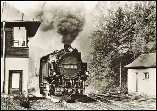 Kipsdorf-Altenberg (Erzgebirge) Schmalspurbahn Bahnhof 1983