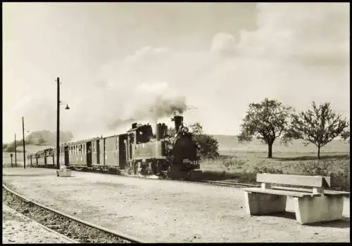 Ansichtskarte Friedewald-Moritzburg ZUg bei der Ankunft im Bahnhof 1978