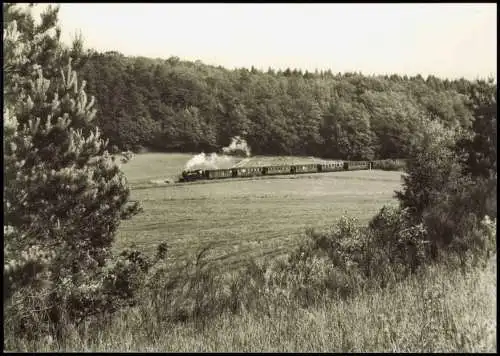 Schmalspurbahn Putbus Göhren b. Seelvitz nach der Kreuzung Gegenzug Göhren 1977