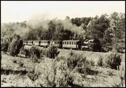 Schmalspurbahn Putbus - Göhren Zwischen Garftitz und Sellin 1977