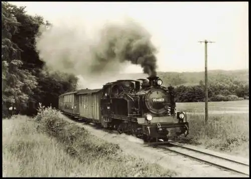 DDR Schmalspurbahn Putbus Göhren In der Steigung vor Garftitz 1977