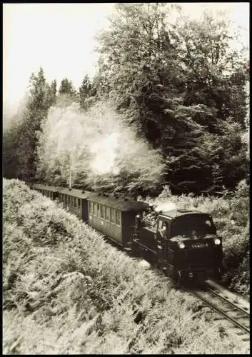 Schmalspurbahn Putbus Göhren am Fuß der Granitz kurz vor Jagdschloß 1977