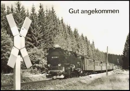 Dampflokomotive mit Zug vor Andreaskreuz, "Gut angekommen" 1984