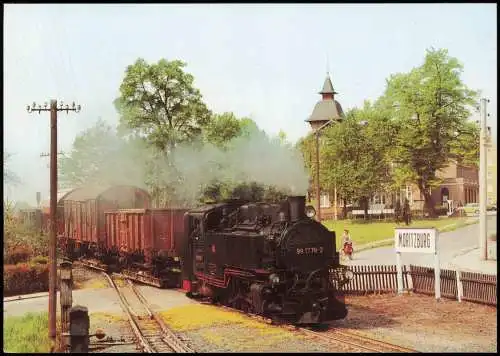 Güterzug mit Dampflokomotive Schmalspurbahn Radebeul Ost - Radeburg 1990