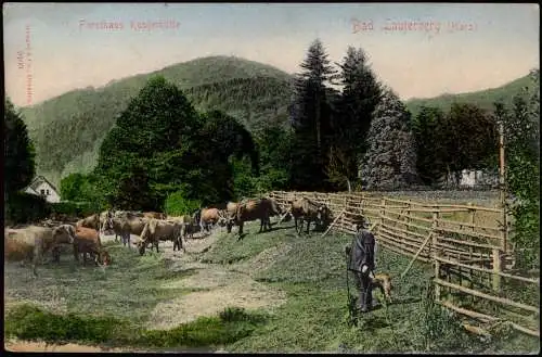 Bad Lauterberg im Harz Forsthaus Kupferhütte Hirte und Ochsen 1906