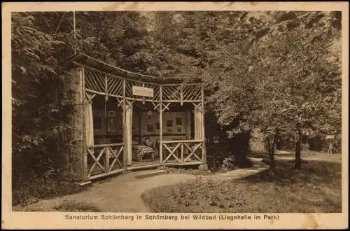 Ansichtskarte Schömberg (Schwarzwald) Sanatorium Liegehalle im Park 1925