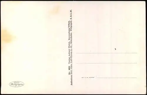 Ansichtskarte Nonnenhorn (Bodensee) Luftbild m. bayr. u. österr. Alpen. 1930