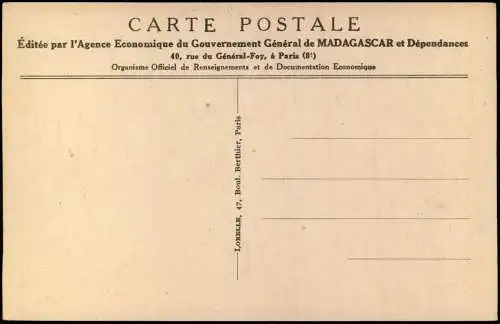 Postcard Madagaskar Caféiers. 1921