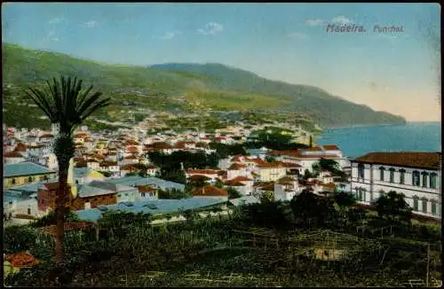 Postcard Funchal Totale - Madeira 1914