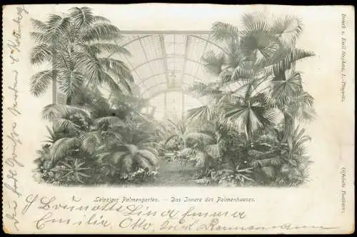 Ansichtskarte Leipzig Leipziger Palmengarten 1904   gel WILHELMSBURG BAHNHOF