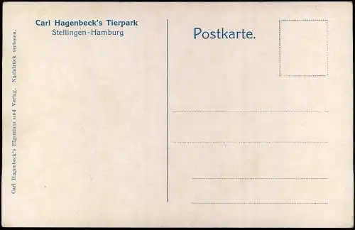 Stellingen-Hamburg Carl Hagenbeck's Tierpark Grosser Vogelteich 1914