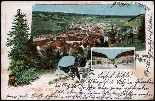 Ansichtskarte Sulz am Neckar 2 Bild Totale u. Markt 1899