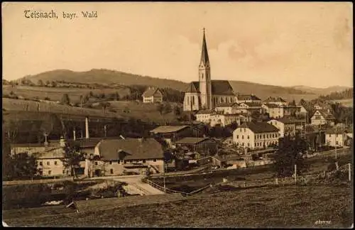 Ansichtskarte Teisnach Stadtpartie 1909