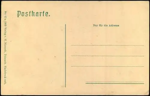 Ansichtskarte Teisnach Stadtpartie 1909