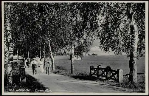 Ansichtskarte Bad Wörishofen Birkenallee. 1930